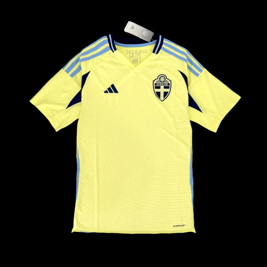 Sweden 2024/25 Euro Home - SoccerSphere